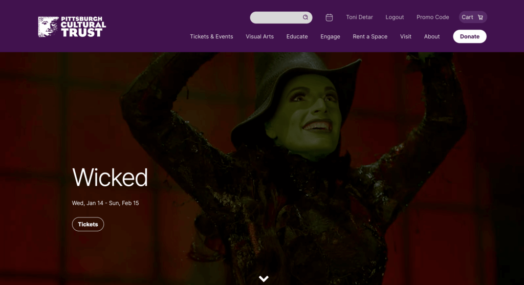 The homepage of trustarts.org, featuring the witch from Wicked
